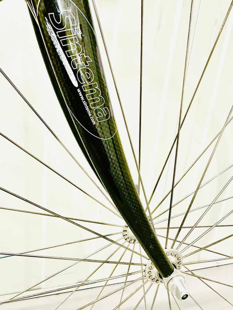 DAVE LYOD Size/M Carbon Forks Super LW Frame 18 Speed Road Bike  🚲