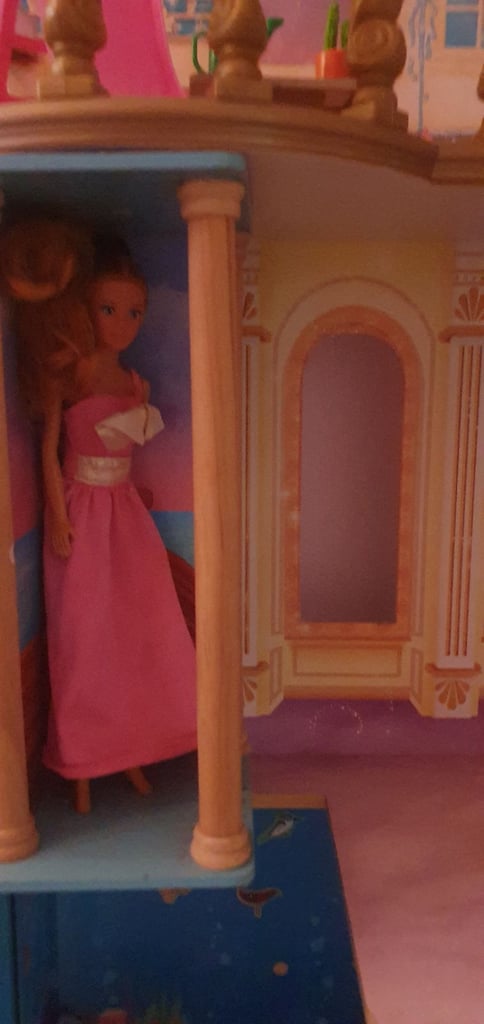 Disney dolls house