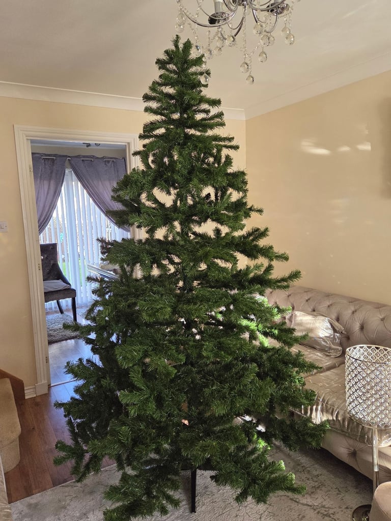 image for 8ft Beautiful Aspen Pine Christmas Tree/can deliver 