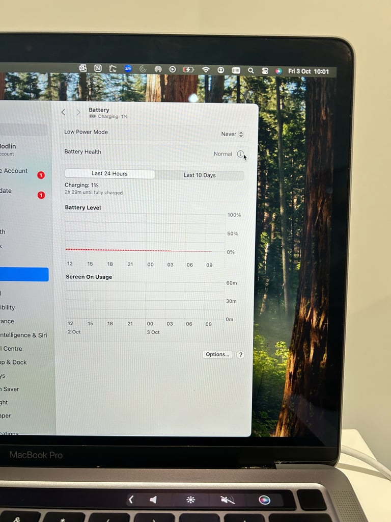 MacBook Pro 14" M1 2020 | 8GB RAM | 250GB SSD
