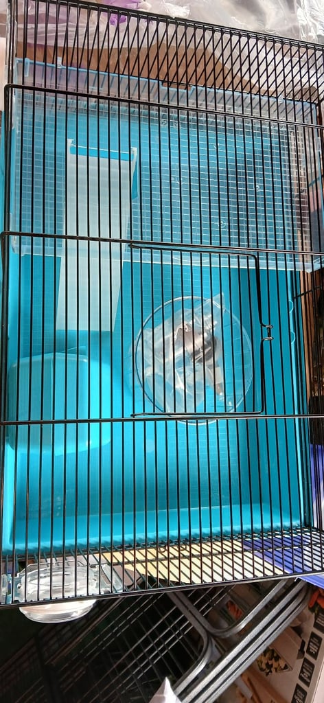 Hamster  cage 