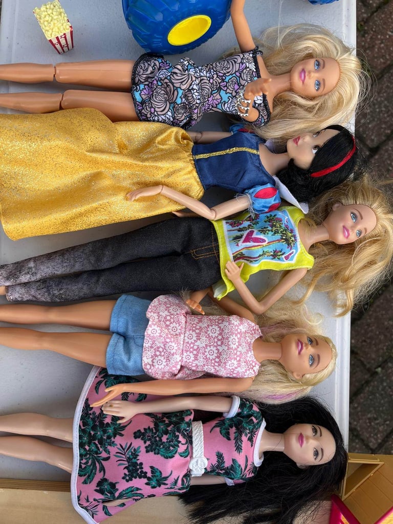 Barbie and accessories