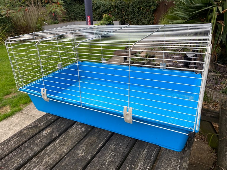 Large rabbit cage. 