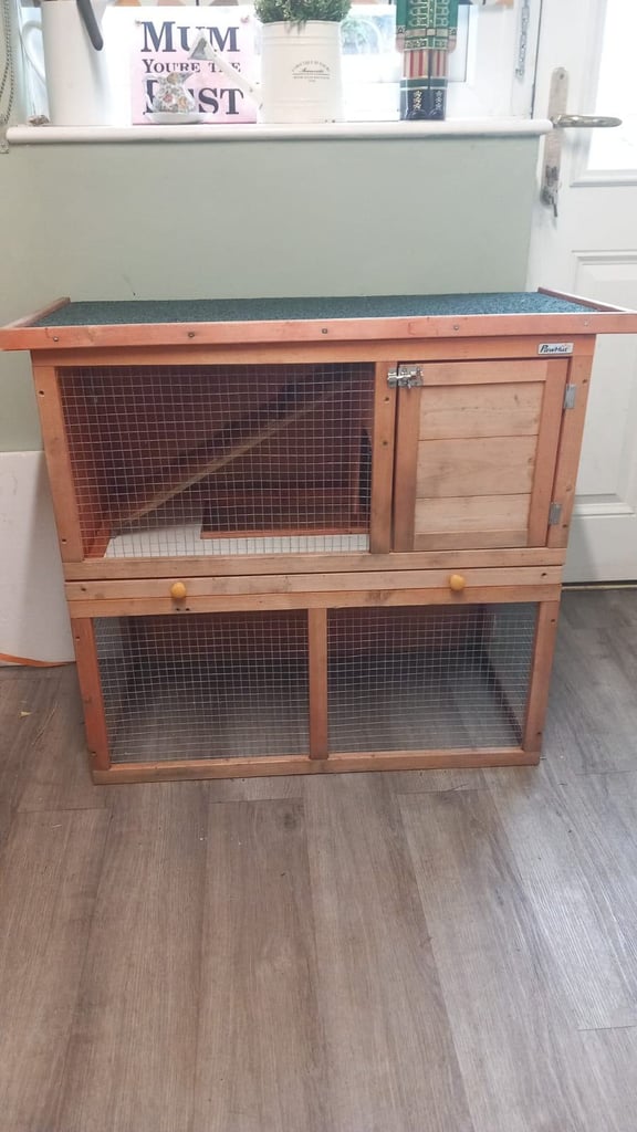 Small rabbit hutch 