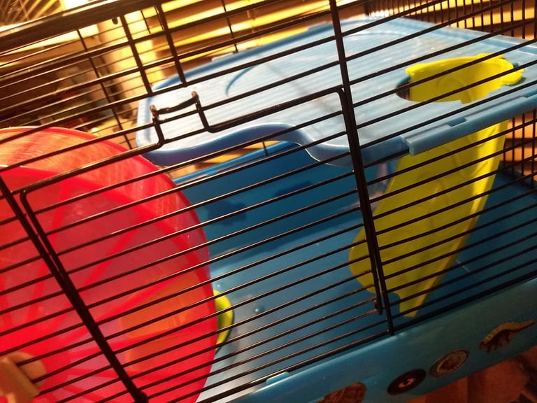 Hamster/Gerbil/pet cage (40x30x28cm)
