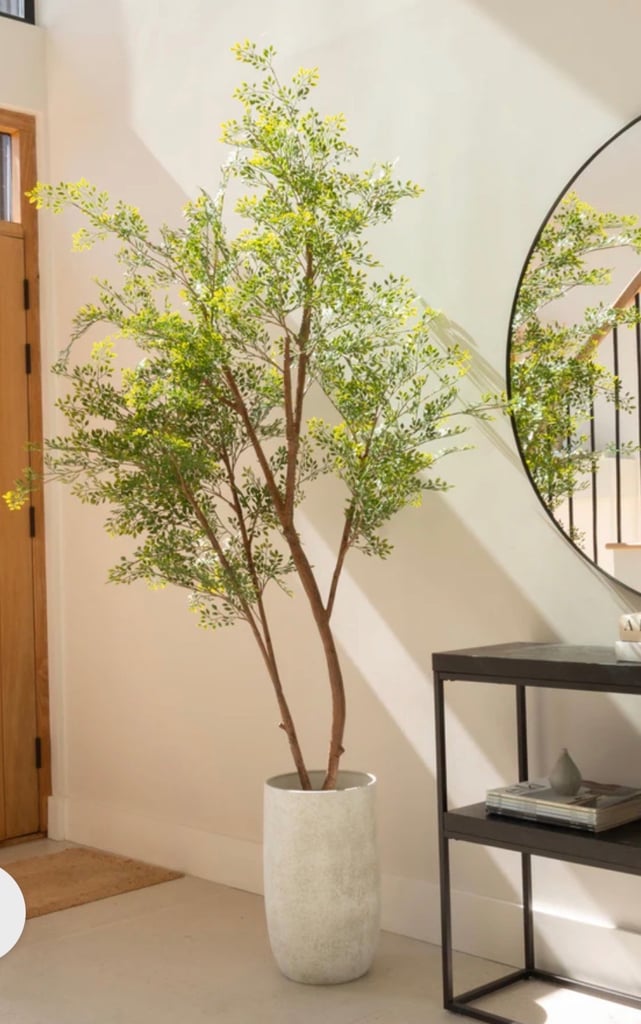 image for FAUX RUSCUS TREE (INDOOR & OUTDOOR) + POT