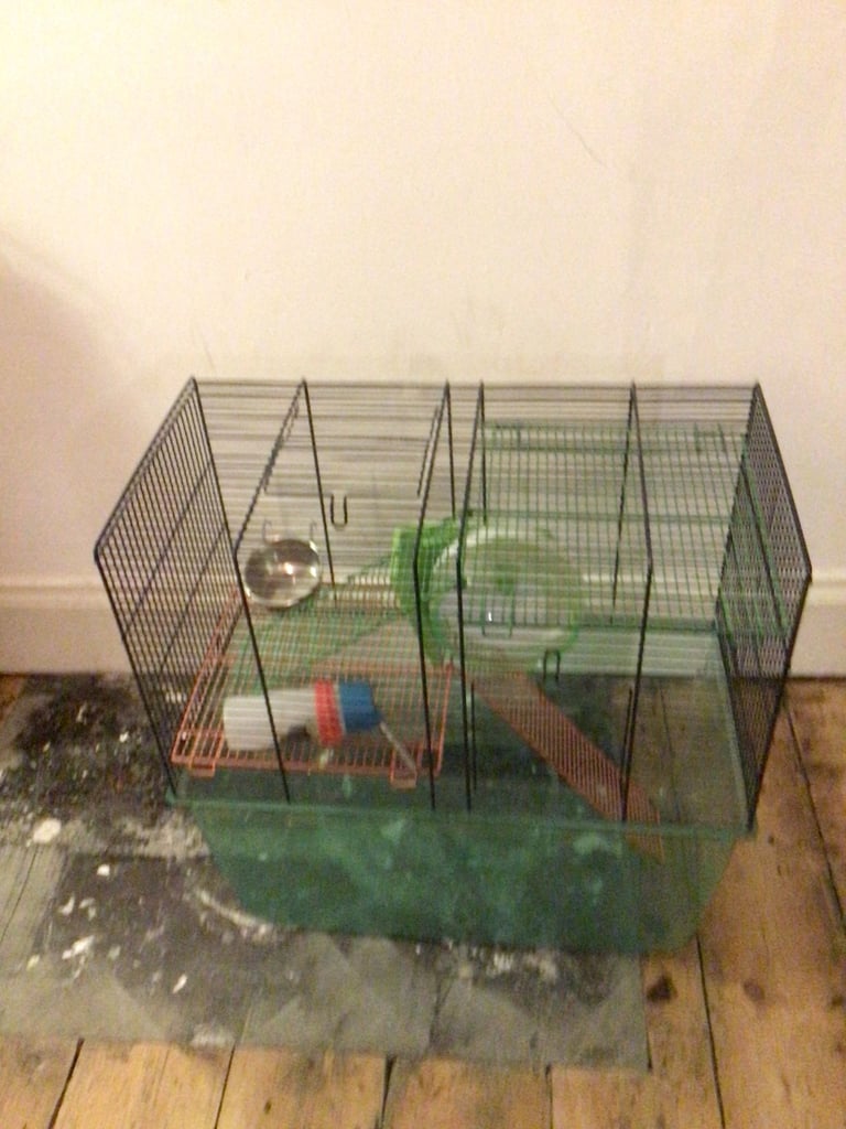 Hamster cage 