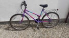 Ladies Raleigh Bike - Congresbury