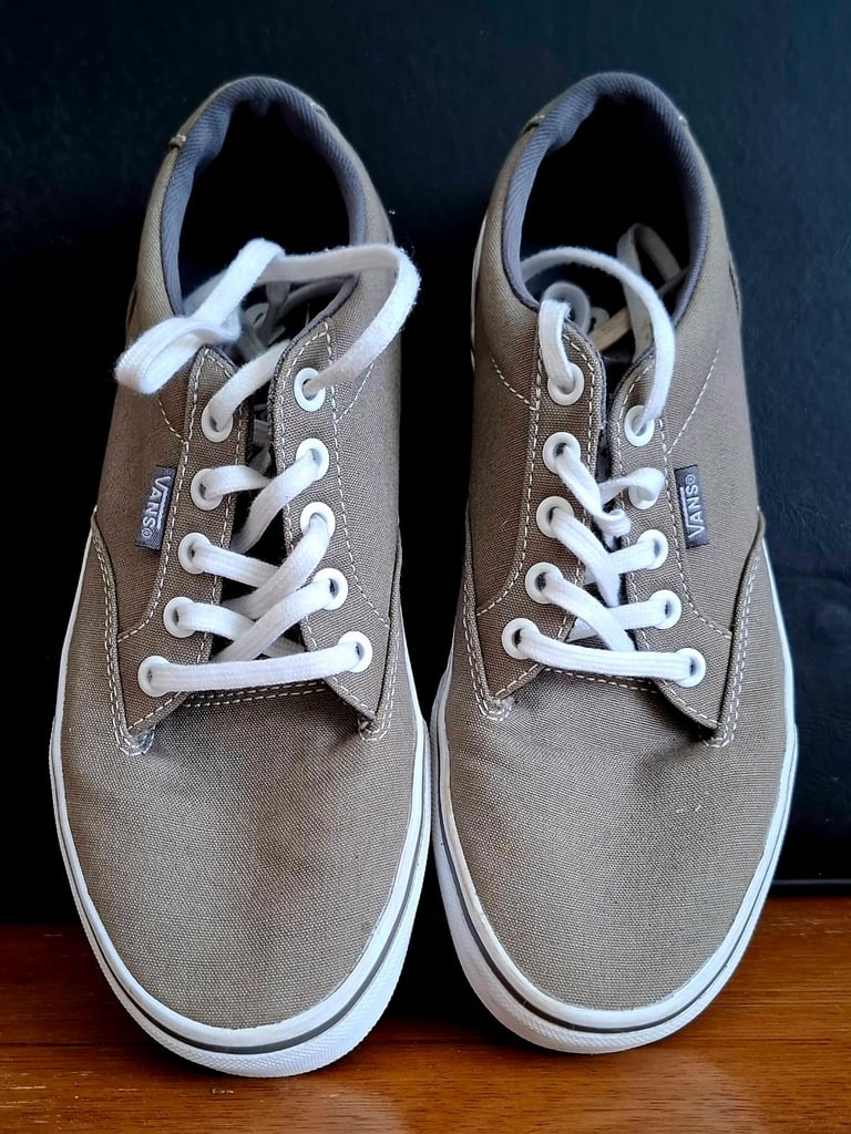 Vans Winston trainers 