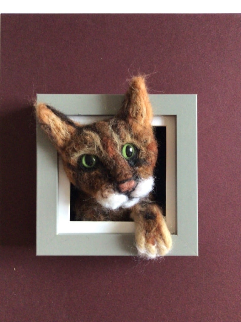 image for Cat picture