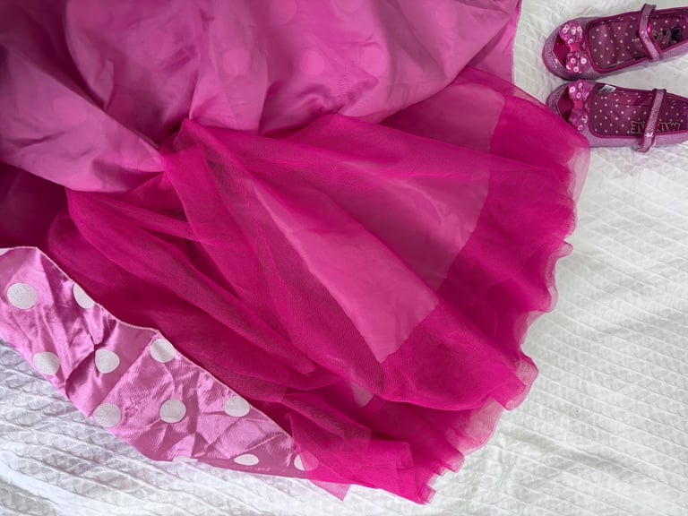 Original Disney Store Minnie Mouse Costume & Accessories 