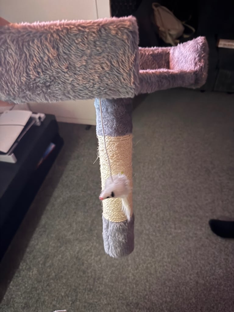 Cat tree 
