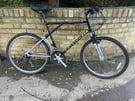 Black MTB Raleigh Activator