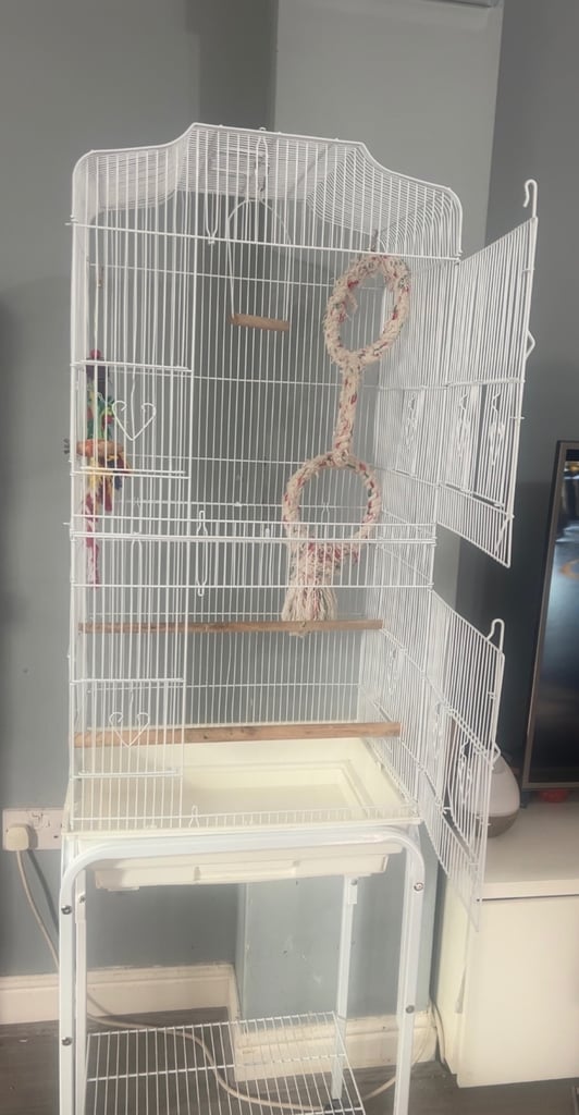 Parrot cage