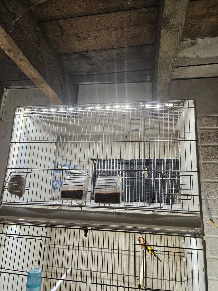 7x fold away bird cages