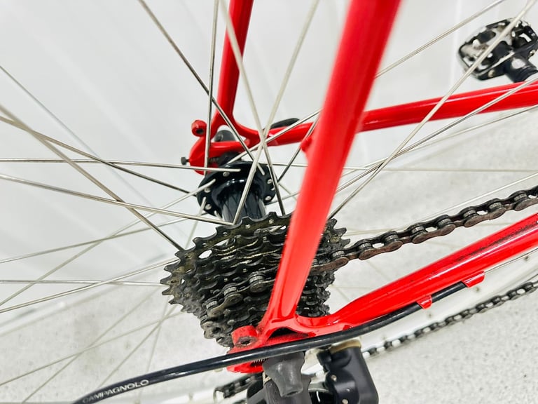 CAMEROON BESPOKE Road Bike Brand New 54 cm Reynolds Tubing 