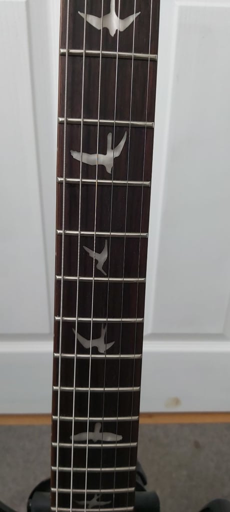 PRS DGT SE