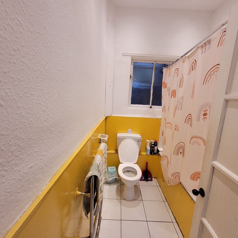 Double Room in all-female Marchmont flat 10 mins walk from university overlooking the Meadows.