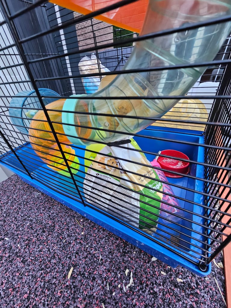 Reduced Hamster cage with many accessories