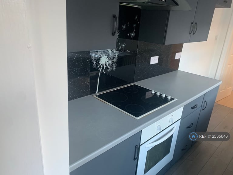 1 bedroom house in Sunderland, Sunderland, SR2 (1 bed) (#2535648)