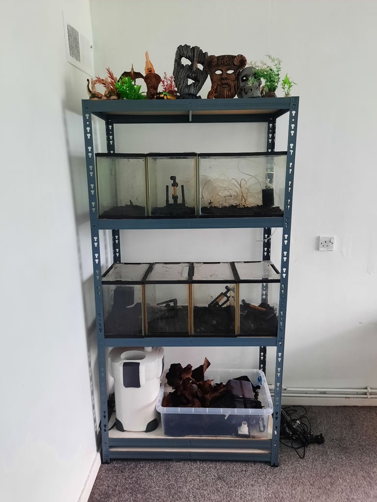 Fish tank 