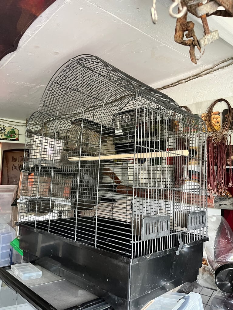 Bird cages