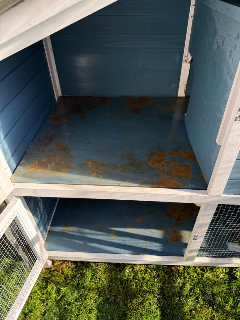 Guinea pig/ rabbit hutch 