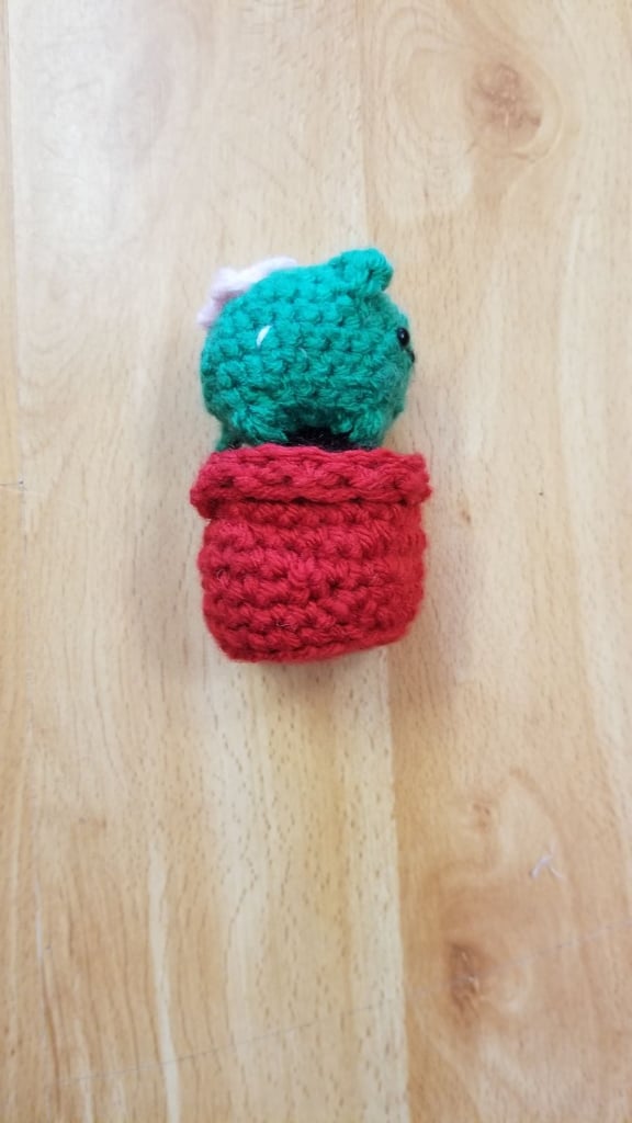 Cute cat-tus plush