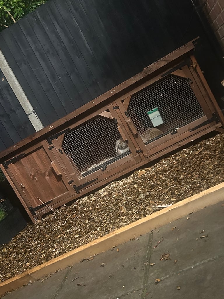 Rabbit hutch 