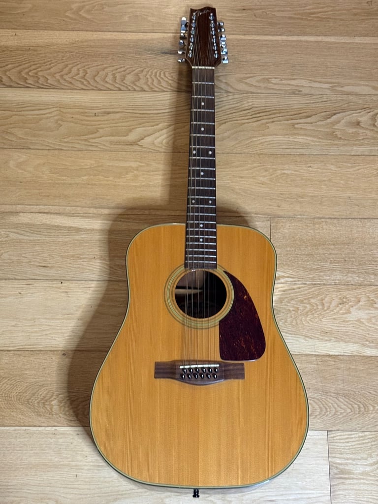 image for RARE Fender 12 String Acoustic F-310-12  Guitar PLUS Kinsman deluxe case 
