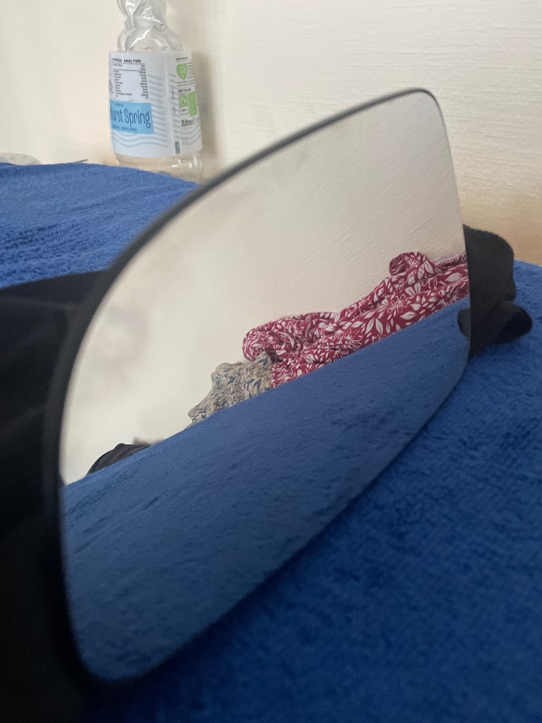 Astra door mirror