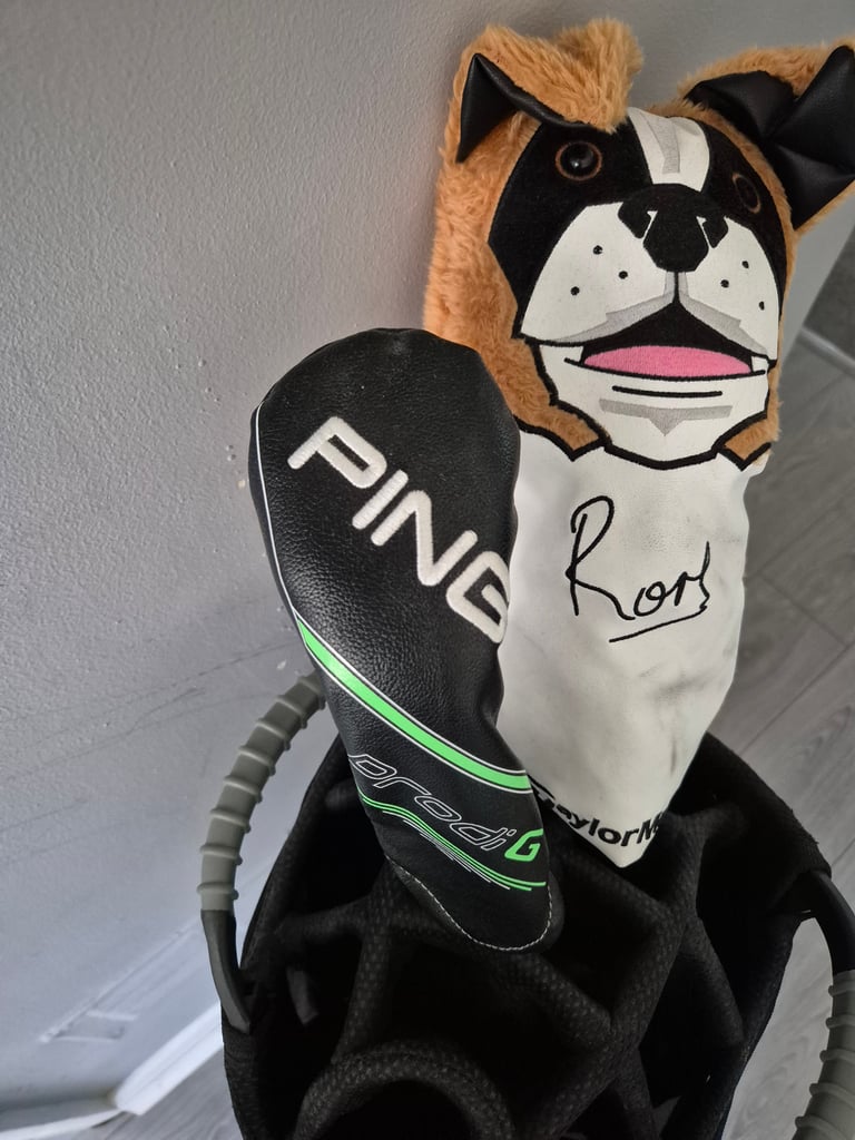 Junior clubs and bag