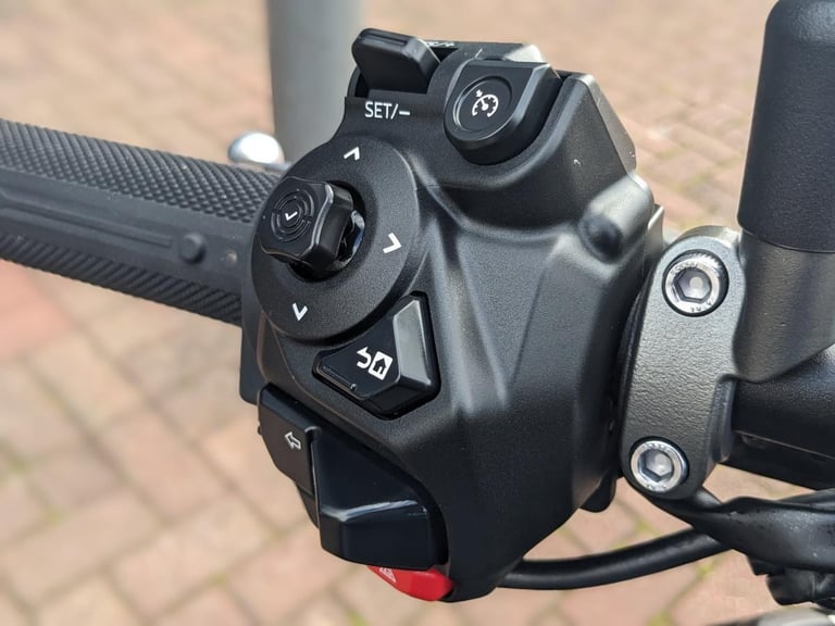 YAMAHA MT-09 2025 - AKRAPOVIC SYSTEM - EVOTECH EXTRAS - NEW REAR TYRE - HOTGRIPS