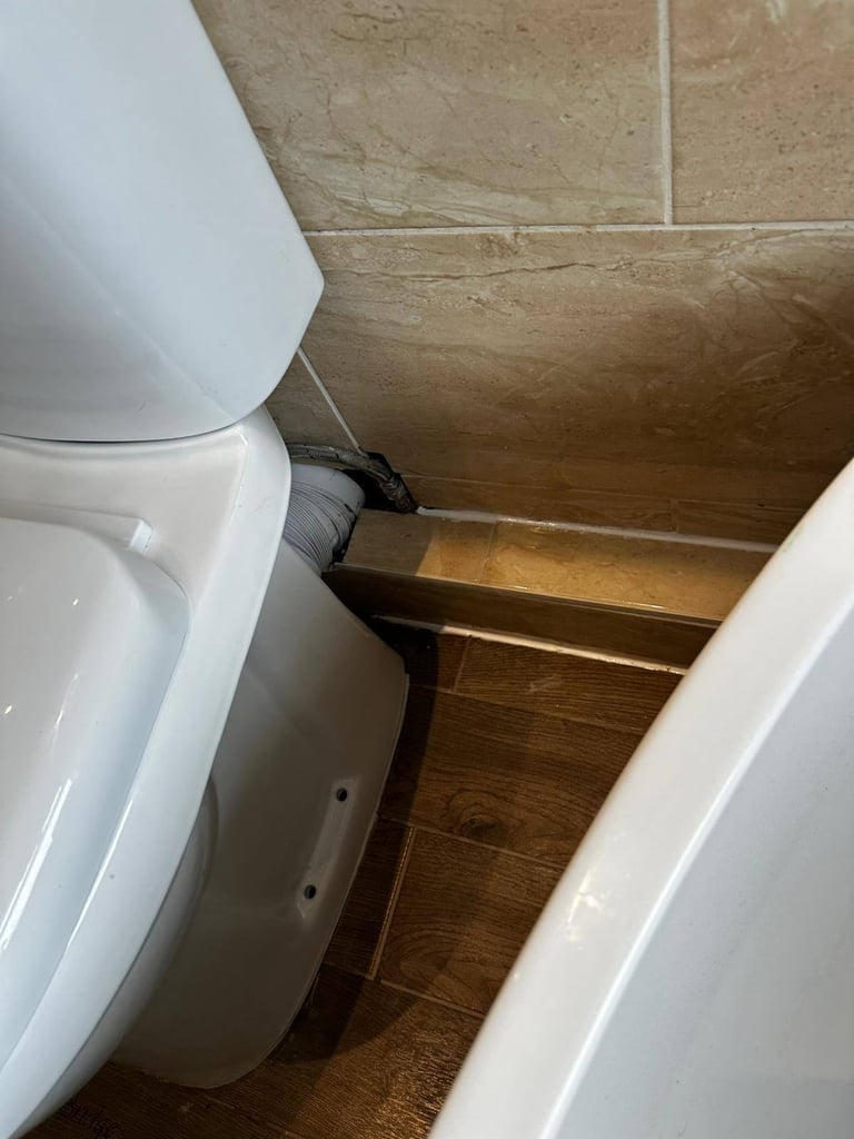 CARPET CLEANING - DOMESTIC - EXTERNAL CLEANING - GARDEN CLEANING - FLOOR CLEANING