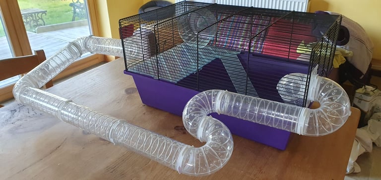 Hamster/mouse cage plus accessories