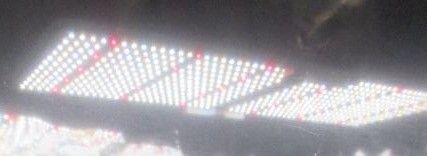 image for Led Light