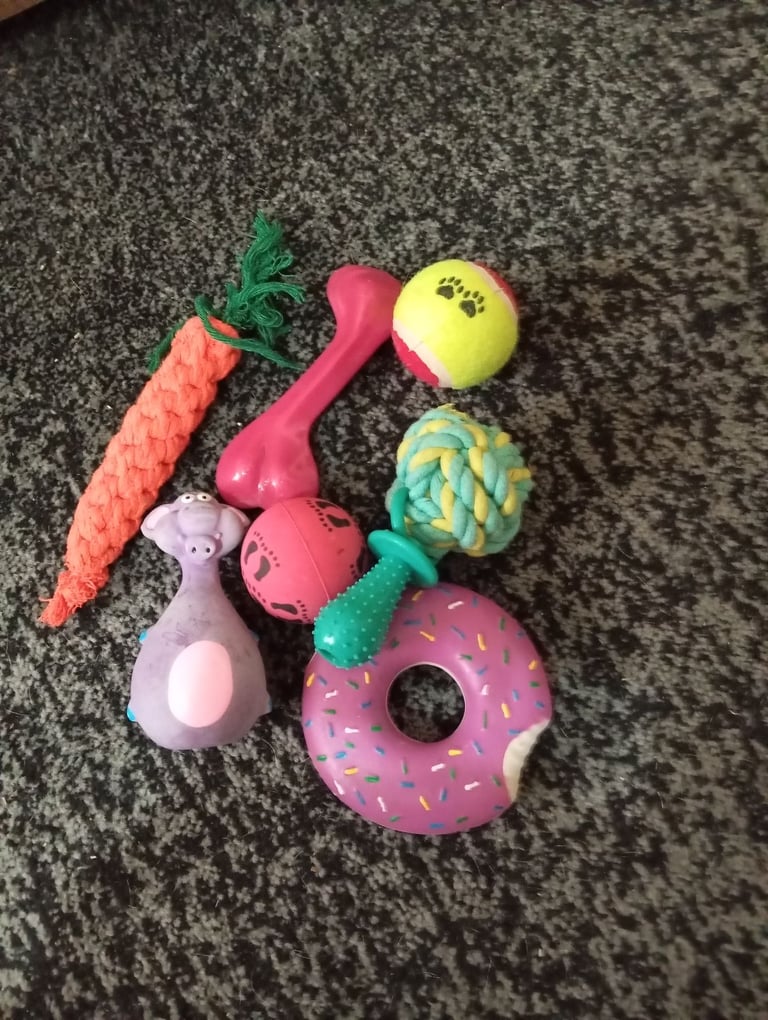 Dog lead, collar and toys etc.