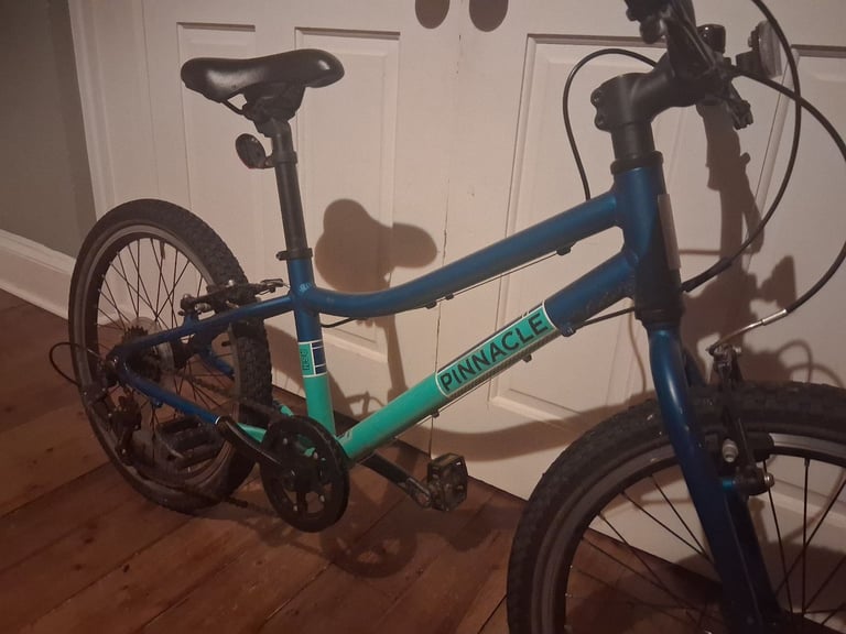 Kids Bike 20inch Pinnacle Ash