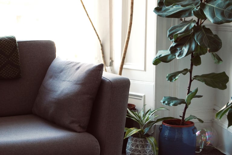 Beautiful, calm & affordable therapy space in Haymarket, Edinburgh 