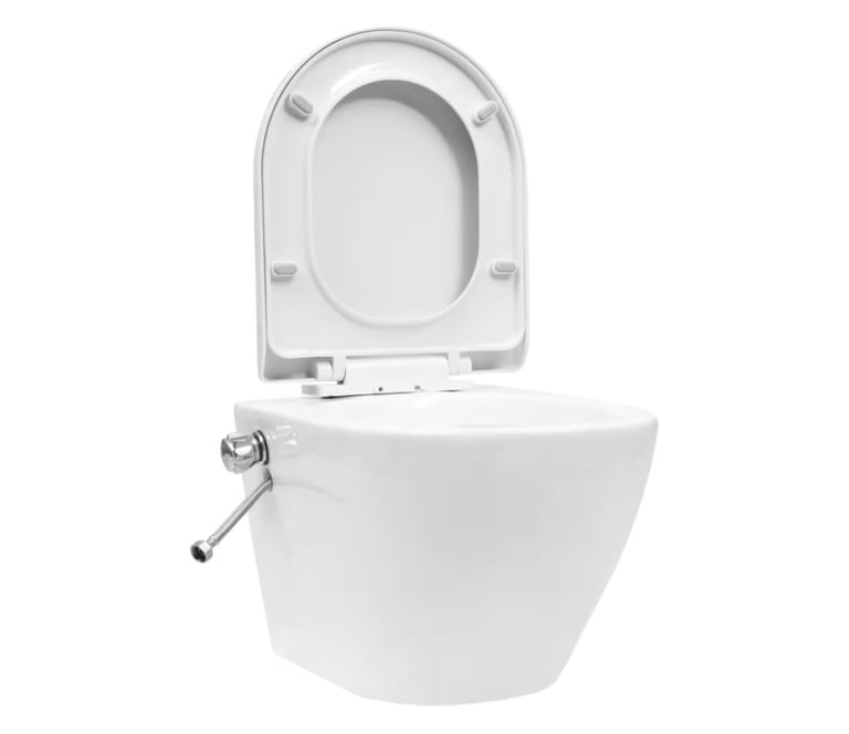 Bidet toilet