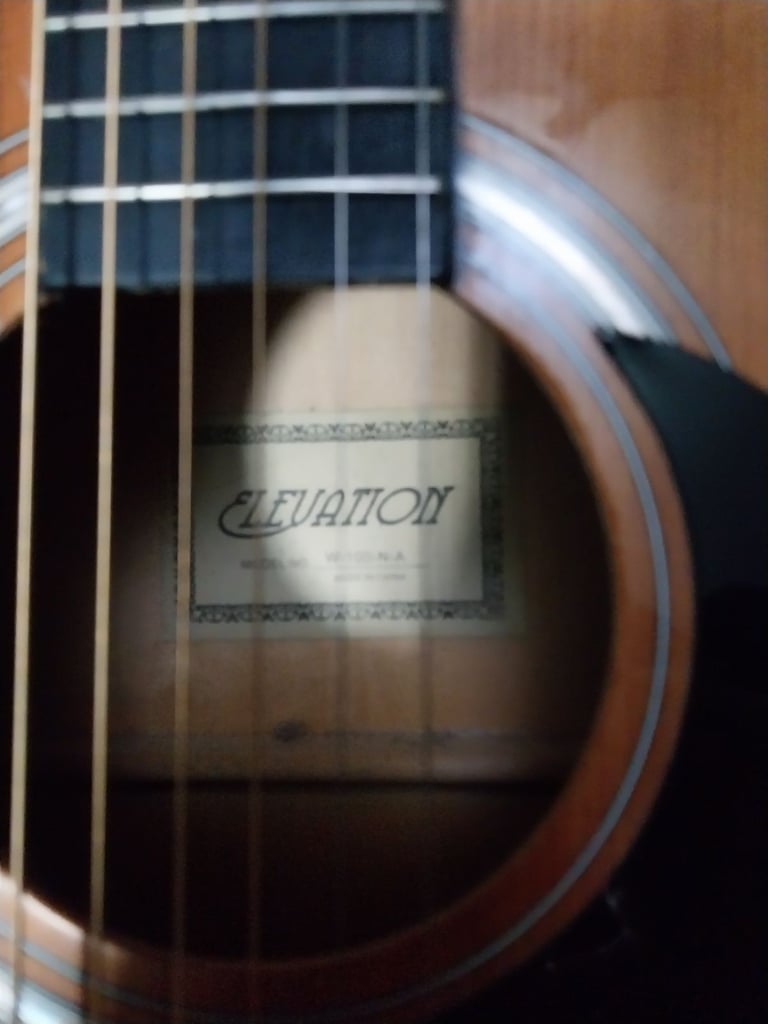 Elevation W100NA full size steel string acoustic guitar