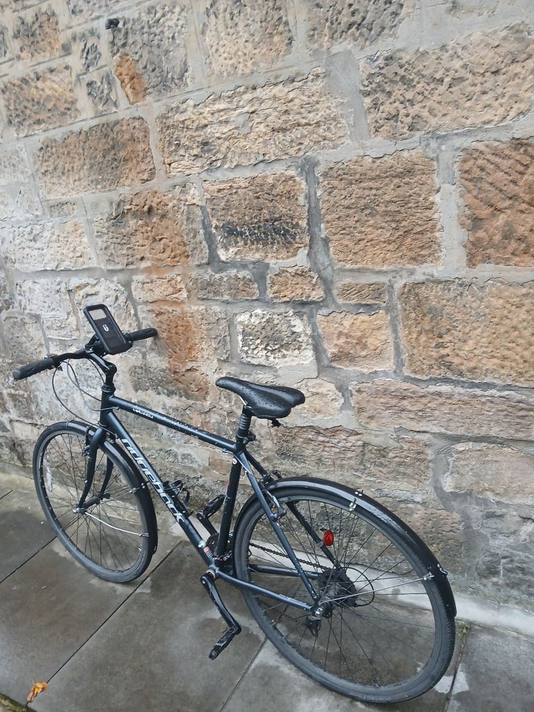 Ridgeback Velocity