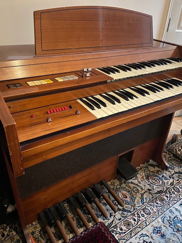 image for Organ 