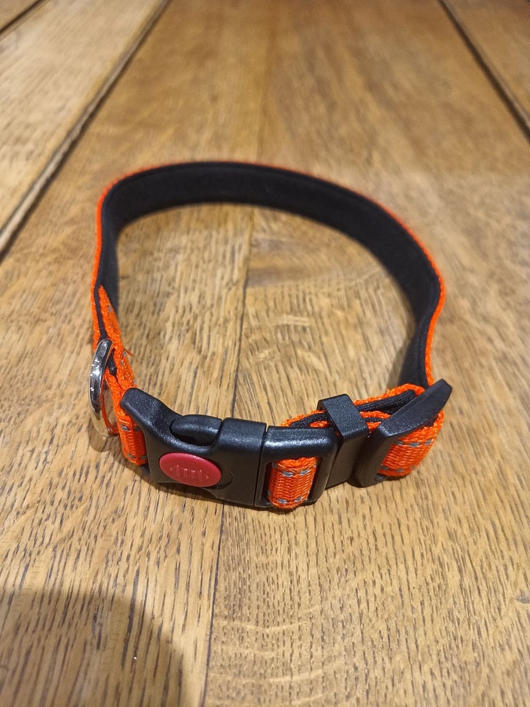 Unused Dog Collar (Max length 42cm)
