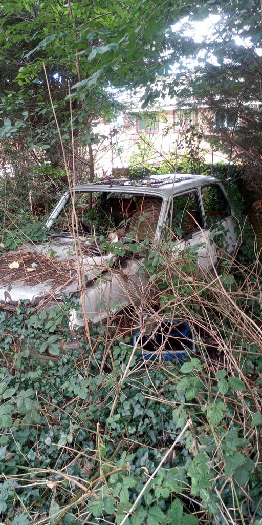 Vintage classic Renault 5