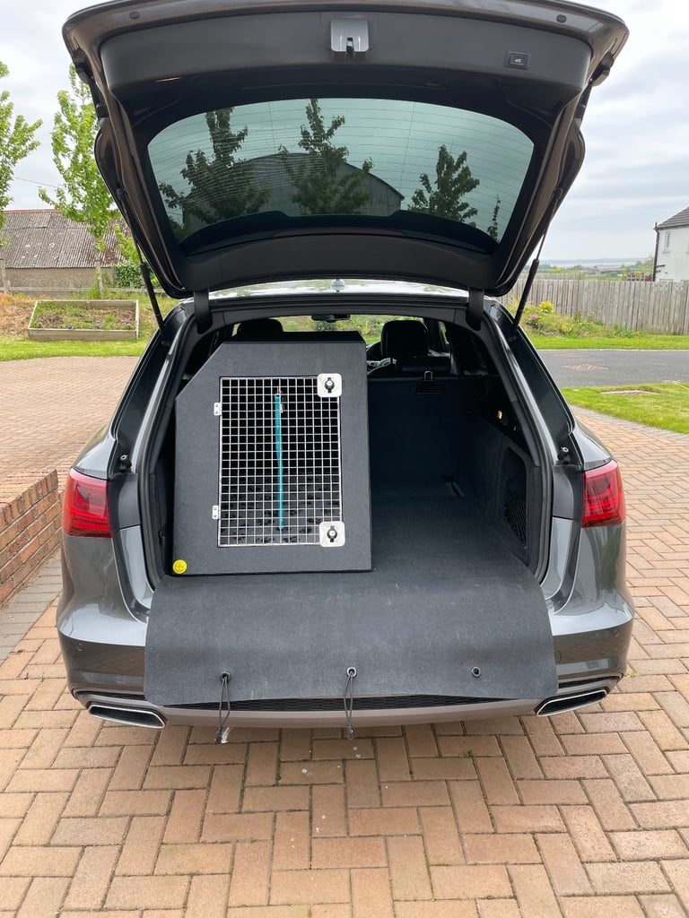 DT2 dog travel crate
