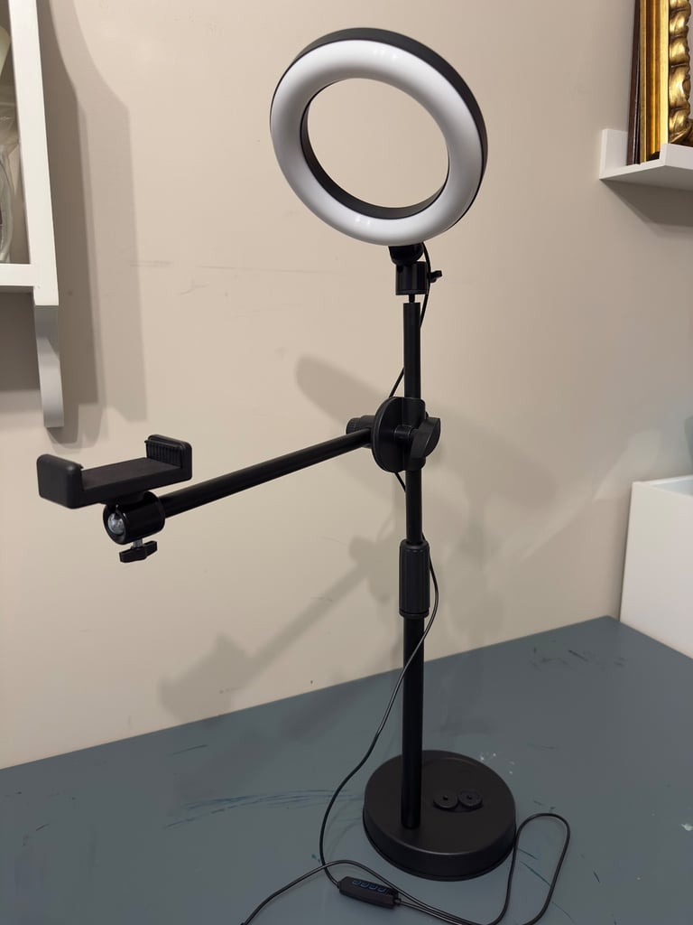 Liftable phone mount recording stand with light
