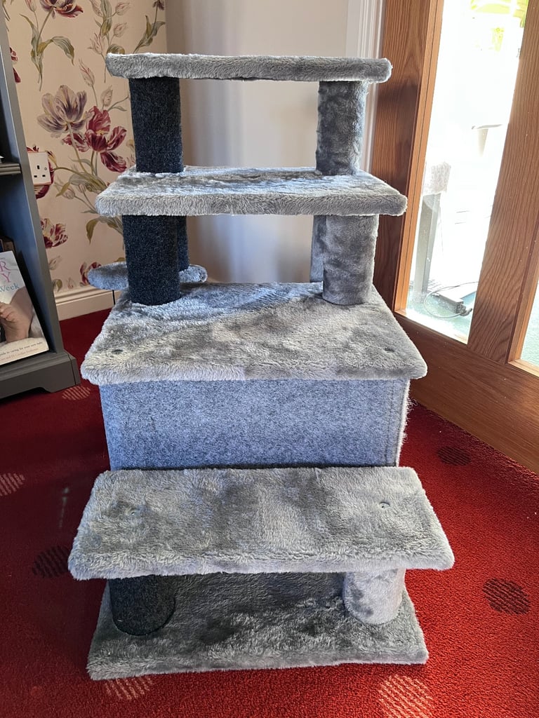 Cat Scratching Play Area 