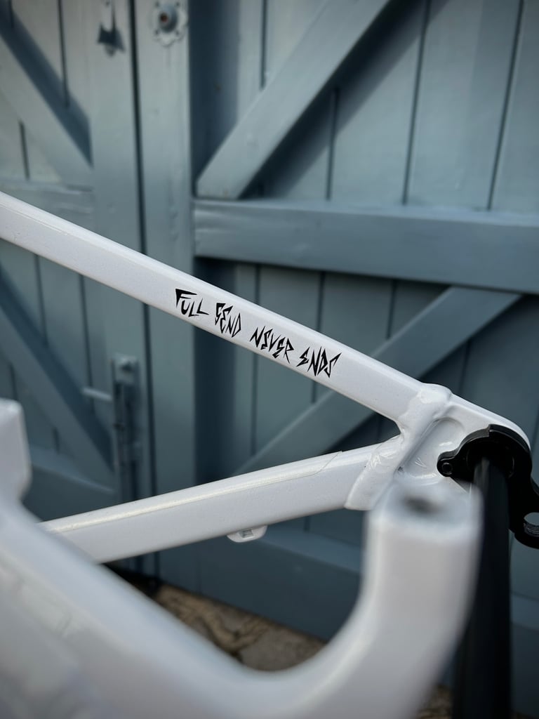 2024 Canyon Stoic Medium 29 Alloy ‘Guardian Angel’ Frame