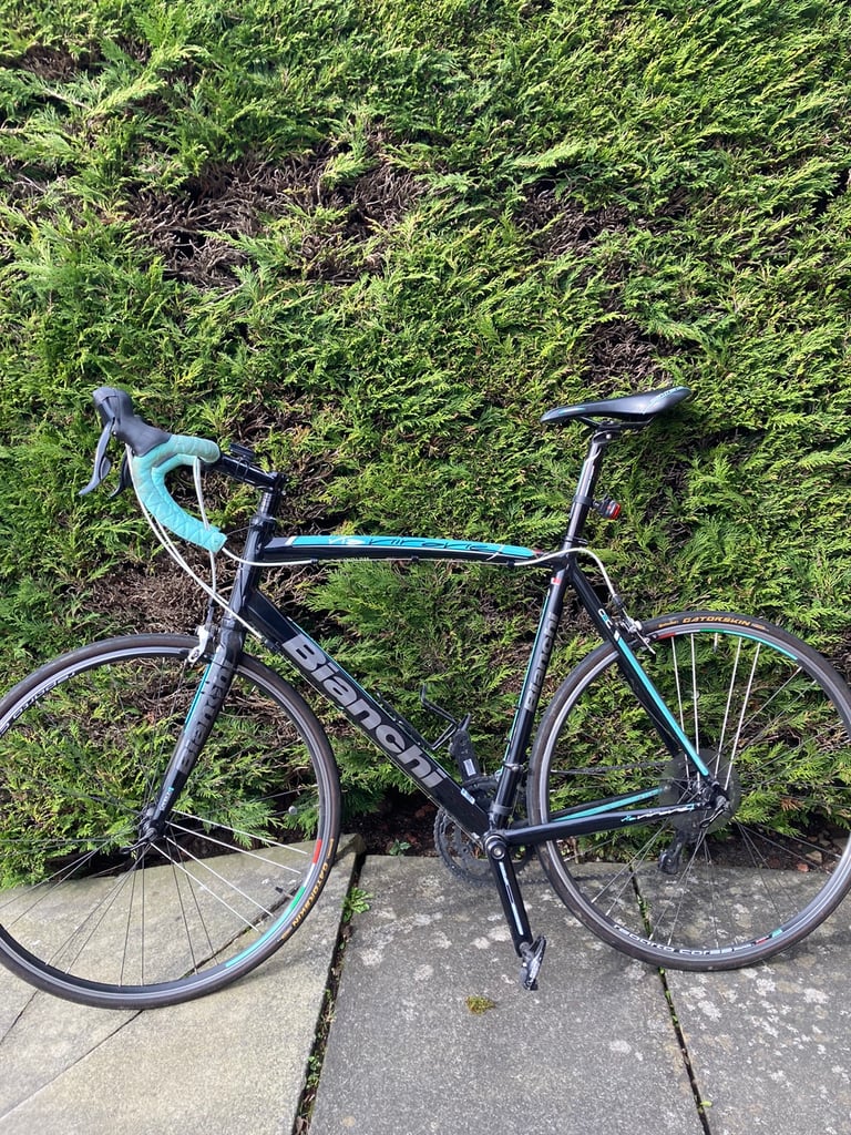 Bianchi 2024 pista gumtree